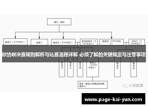 欧协联决赛规则解析与比赛流程详解 必须了解的关键规定与注意事项