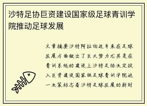 沙特足协巨资建设国家级足球青训学院推动足球发展